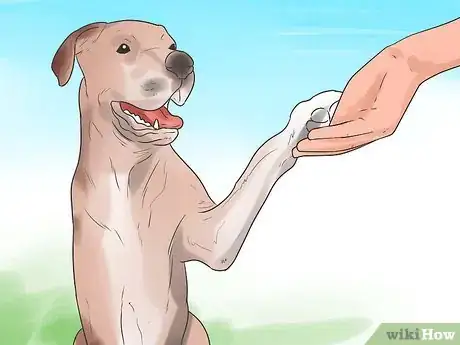 Image titled Teach Your Dog to Shake Hands Step 11