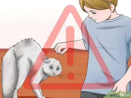 Image titled Identify if Your Cat Has Had a Stroke Step 19