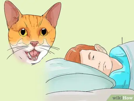 Image titled Change Your Cat's Routine Step 14