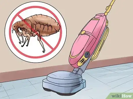 Image titled Rid Your Pet of Fleas Step 20