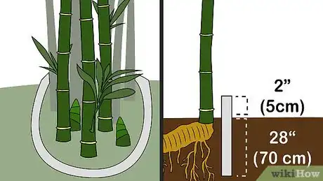 Image titled Kill Bamboo Step 10