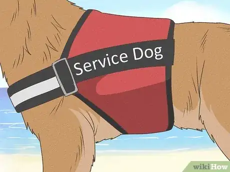 Image titled Catch a Fake Service Dog Step 10