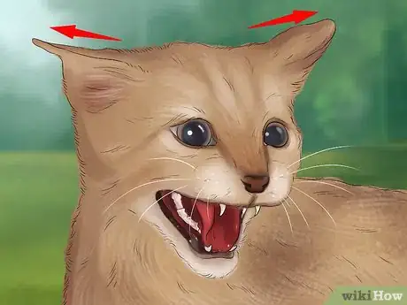 Image titled Stop an Aggressive Cat Step 19