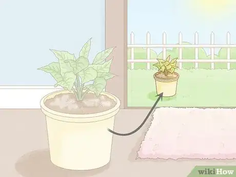 Image titled Get Rid of Mold on Houseplants Step 6