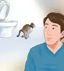 Toilet Train Your Cat