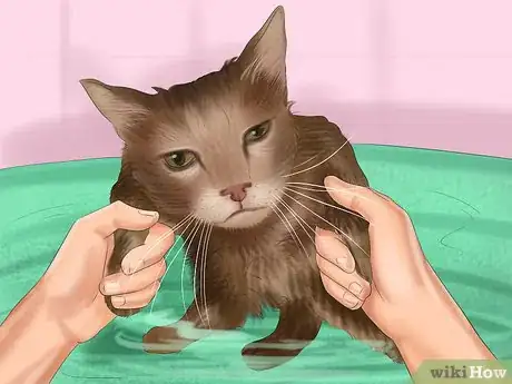 Image titled Bathe a Cat Step 15