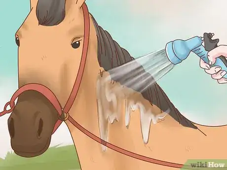 Image titled Take Care of Your Horse Step 8