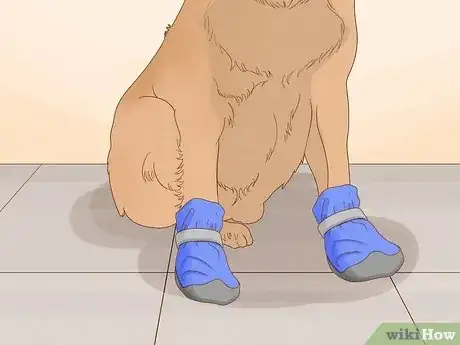 Image titled Stop a Dog from Chewing Its Paws Step 10