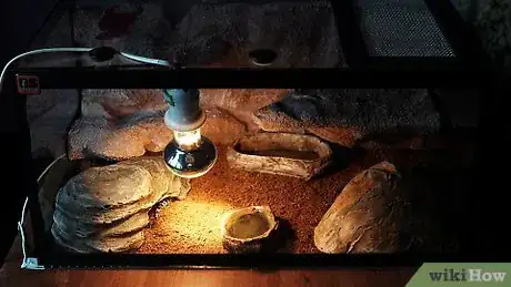 Image titled Make a Simple Leopard Gecko Enclosure Step 4