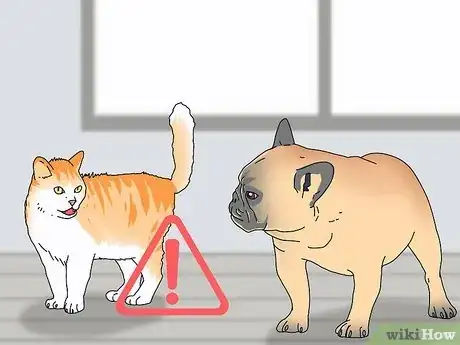 Image titled Know if You Are Ready for a Cat Step 7