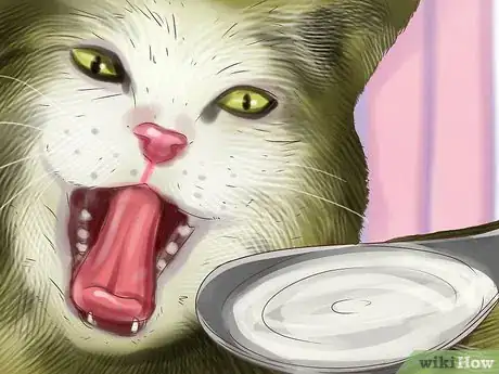 Image titled Give Cat Milk to Your Cat Step 4