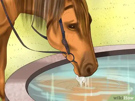 Image titled Make a Salt Lick for Horses Step 11