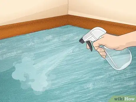 Image titled Clean a Carpet by Hand Step 4