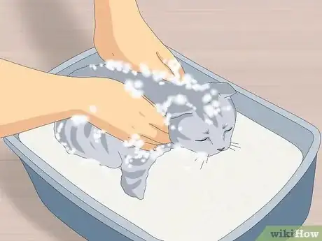 Image titled Give a Kitten a Bath Step 13