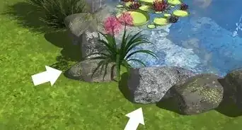 Remove Algae from a Pond Without Harming Fish