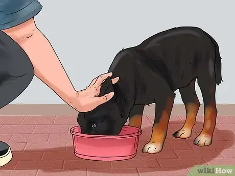 Image titled Train a German Shepherd Step 5