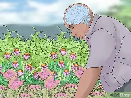 Image titled Improve Your Health by Gardening Step 11