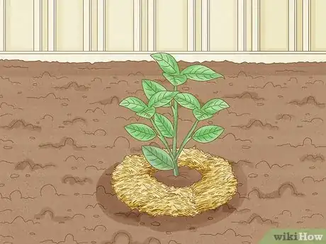 Image titled Plant Step 7