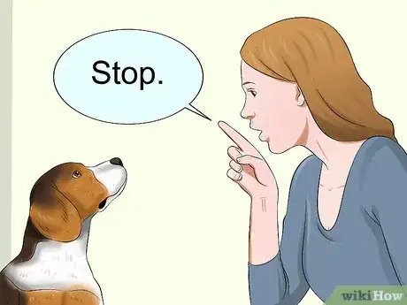 Image titled Train Your Dog to Be Calm Step 1