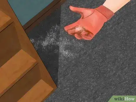 Image titled Get Rid of Fleas in Carpets Step 14