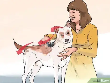 Image titled Rid Your Pet of Fleas Step 14