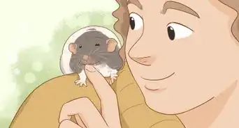 Train Your Rat to Do Tricks