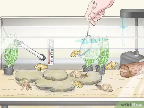 Image titled Set up a Marine Reef Aquarium Step 13