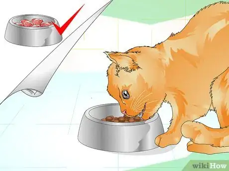 Image titled Check Your Cat's Teeth Step 10