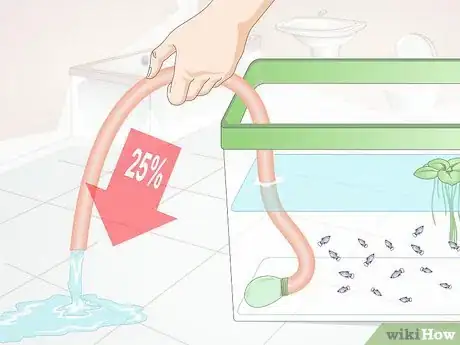 Image titled Take Care of Baby Platy Fish Step 8