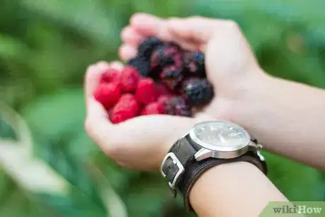 Image titled Tell Raspberries and Blackberries Apart Step 3