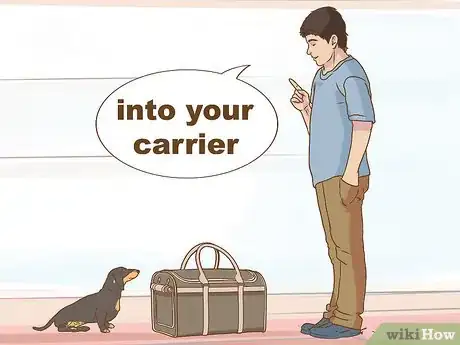 Image titled Get Your Dog to Ride in a Carrier Step 6