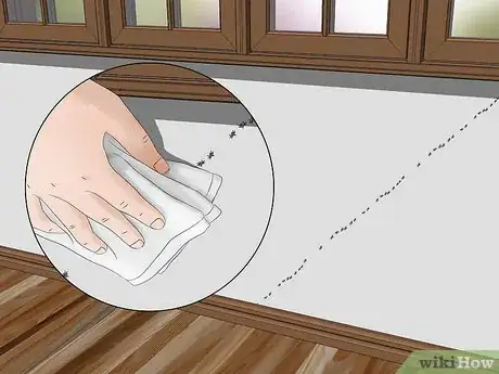 Image titled Get Rid of Ants Step 1