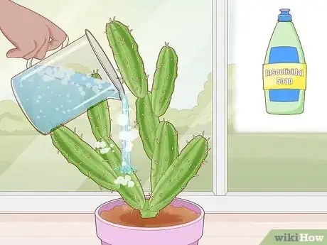 Image titled Get Rid of Cactus Bugs Step 5