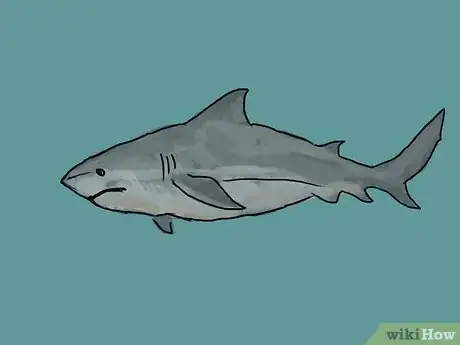 Image titled Draw a Shark Step 9