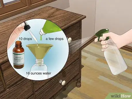 Image titled Prevent Termites in Wood Furniture Step 5