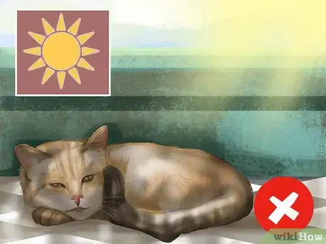 Image titled Diagnose Feline Skin Problems Step 11