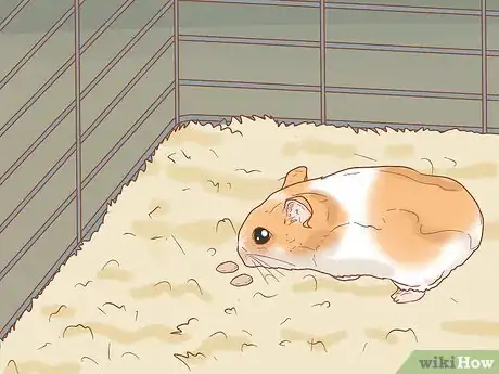 Image titled Tame Your Winter White Hamster Step 5