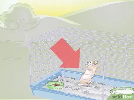 Image titled Wake up Your Hamster Without Scaring It Step 11