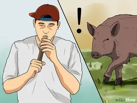 Image titled Call the Hogs Step 1