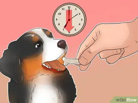 Image titled Train Bernese Mountain Dogs Step 3