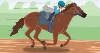 Train a Race Horse