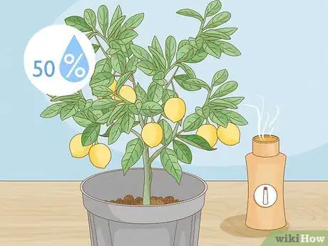 Image titled Grow Lemon Trees Indoors Step 14