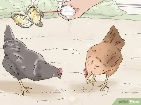 Image titled Feed Eggshells to Chickens Step 10