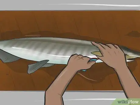 Image titled Catch Paddlefish Step 14.jpeg