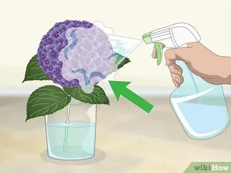 Image titled Keep Hydrangeas Alive Step 4