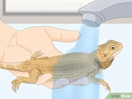 Image titled Give a Lizard a Bath Step 15