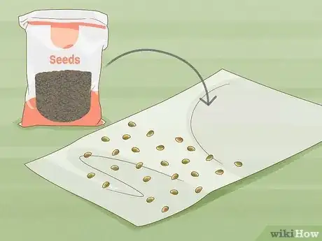 Image titled Germinate Seeds Guaranteed Without Soil or Medium for Garden or Hydroponics Step 2