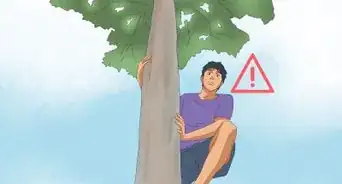 Climb a Tree With No Branches