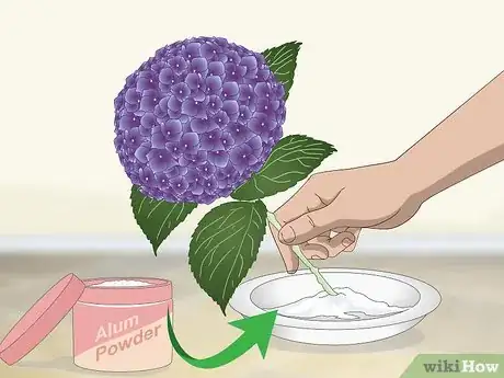 Image titled Keep Hydrangeas Alive Step 2