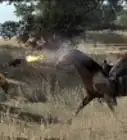 Shoot in Red Dead Redemption